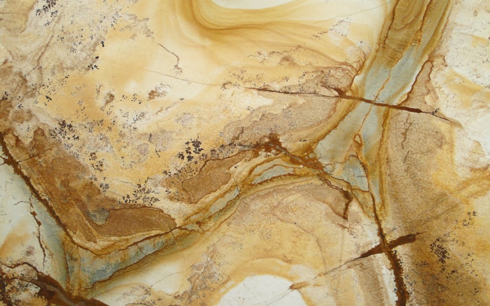 palomino-detail